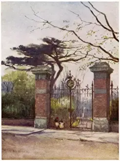Botanical Garden Chelsea