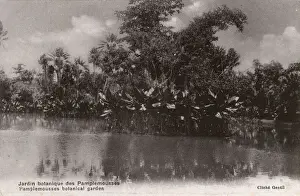 Botanical Garden, Pamplemousses, Mauritius