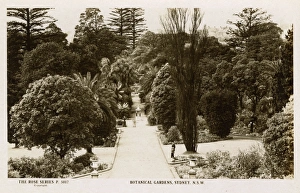 Images Dated 24th November 2016: Botanical Gardens, Sydney, New South Wales, Australia