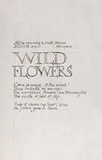 Botanical Sketchbook -- lettering