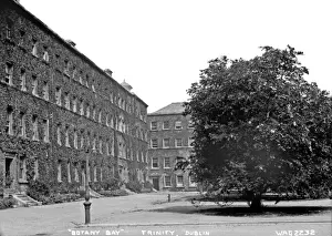 Botany Bay, Trinity, Dublin