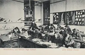 Studying Prints: Botany Room, Brondesbury and Kilburn High School