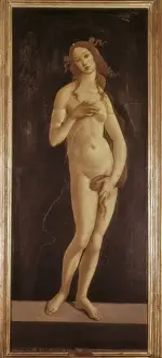 BOTTICELLI, Alessandro di Mariano dei Filipepi