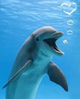 Heart Prints: Bottlenose dolphin, underwater, blowing heart shaped