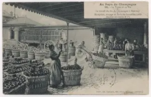 Bottling Prints: Bottling at Couvreur
