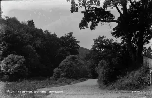 Whitmore Prints: The Bottom, Whitmore, Grayshott