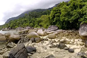 Boulder Prints: Boulders on sand beach and rainforest on slopes