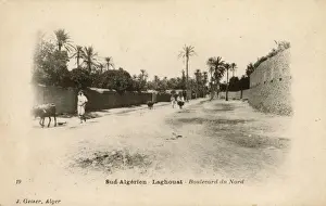 Boulevard Prints: Boulevard du Nord, Laghouat, Southern Algeria