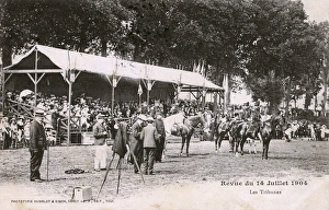 Horse Racing/France