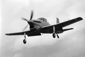 Boulton Paul Sea Balliol T21