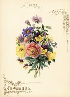 Gold Calligraphy Prints: Bouquet of anemone, petunia, heartsease, aster, anagallis