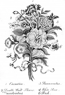 Images Dated 20th May 2011: Bouquet of assorted flowers