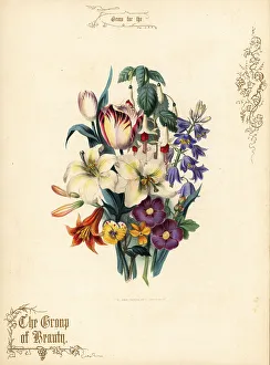 Lilies Prints: Bouquet of lilies, tulip, fuchsia, tiger lily