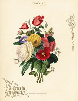 Bouquet of poppies, ranunculus, morning glory, hollyhock
