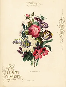 Tulip Prints: Bouquet of rose, passion flower, tulip, geranium