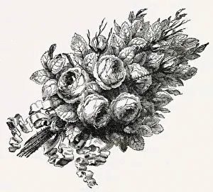 Images Dated 27th December 2019: Bouquet of roses tied with ribbon
