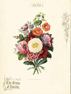 Gold Calligraphy Prints: Bouquet of white rose, dahlia, nasturtium, auricula