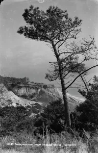 Chine Prints: Bournemouth from Durley Chine