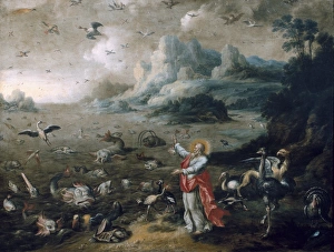 BOUTTATS, Jacob (ca. 1660 - ca. 1718). The creation BOUTTATS, Jacob (ca. 1660 - ca. 1718). The creation