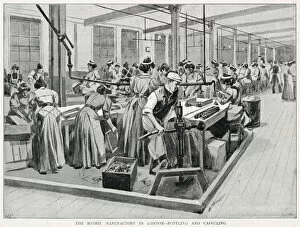 Bottling Collection: Bovril Manufactory, London 1896