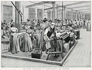 Images Dated 1st June 2021: Bovril Manufactory, London 1896
