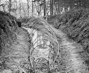 Broads Prints: A bow net, Norfolk Broads