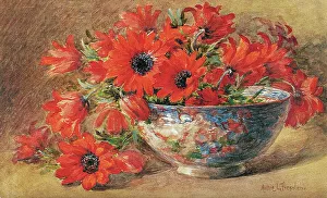 Bowl of Red Poppies