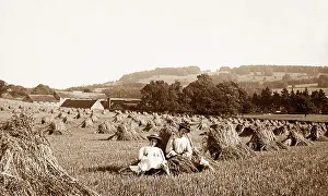 Dorking Prints: Box Hill, Dorking
