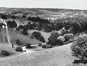 Sightseers Gallery: Box Hill, Surrey