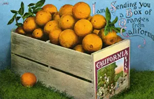 Sending Prints: Box of Oranges from California