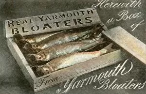 Images Dated 1st March 2012: Box of Real Yarmouth Bloaters