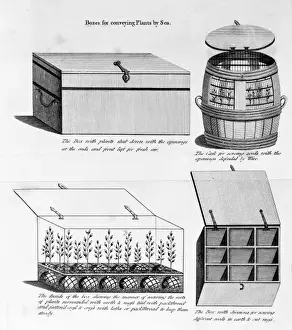 Collect Prints: Boxes for conveying plants by sea