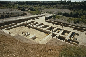 Haplorhini Gallery: Boxgrove excavation site