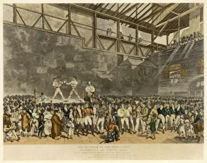 Jack Collection: Boxing / Randall V Turner