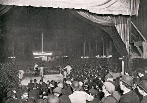 Fills Gallery: BOXING AT WONDERLAND