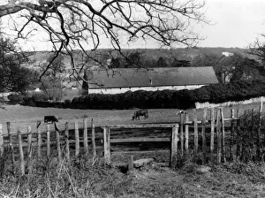 Abbeys Prints: Boxley Abbey
