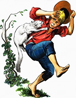 Images Dated 31st October 2006: Boy attacked by cat