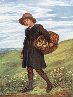 Images Dated 30th October 2019: BOY & BASKET OF APPLES