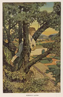 Admire Gallery: Boy Climbs Tree - Country