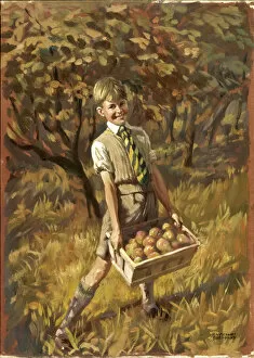 Smiles Gallery: Boy collecting apples