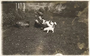 Russell Gallery: Boy in cub uniform with Jack Russell puppies