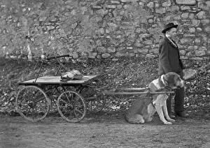Pull Prints: Boy with dog pulling cart