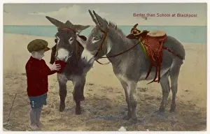 Boy and Two Donkeys