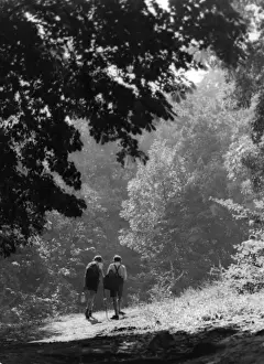 Boy & Girl Rambling