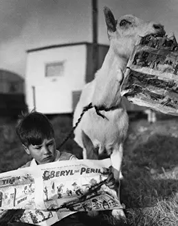 Goat Prints: Boy and goat with comic magazine