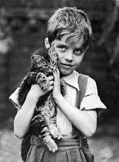 Cats Collection: Boy Holding a Kitten