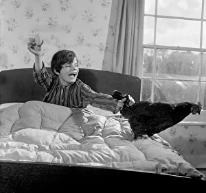 A boy holds an egg in one hand and his pet hen in the other A boy holds an egg in one hand and his pet hen in the other