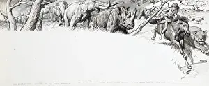 Boy on a horse with wild animals