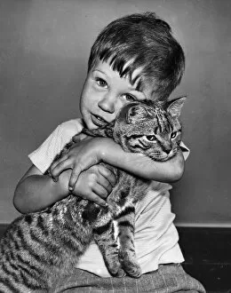Boy hugging a large tabby cat