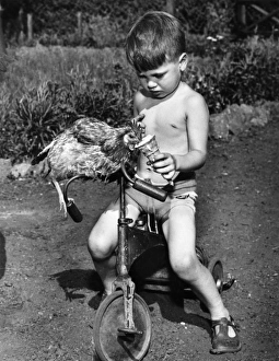 Images Dated 10th January 2017: Boy with ice cream and chicken